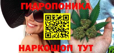 прущие крисы Кинель