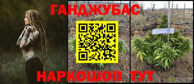 герыч Кингисепп