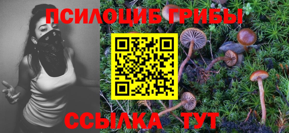 Котовск  Псилоцибиновые грибы мухоморы  Вход с VPN 